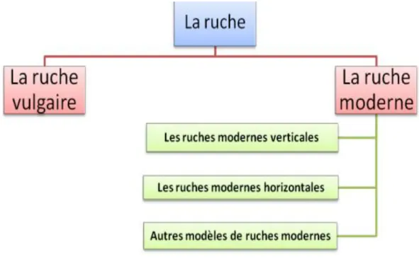 Figure 5 : Des différents types de ruches 