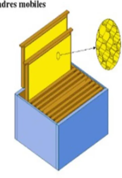 Figure 7 : Cadres mobiles 
