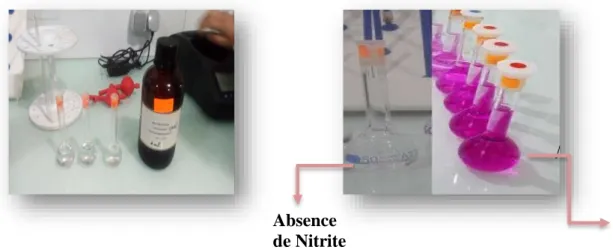 Figure 08 : Dosage de Nitrite (NO 2 - ). 