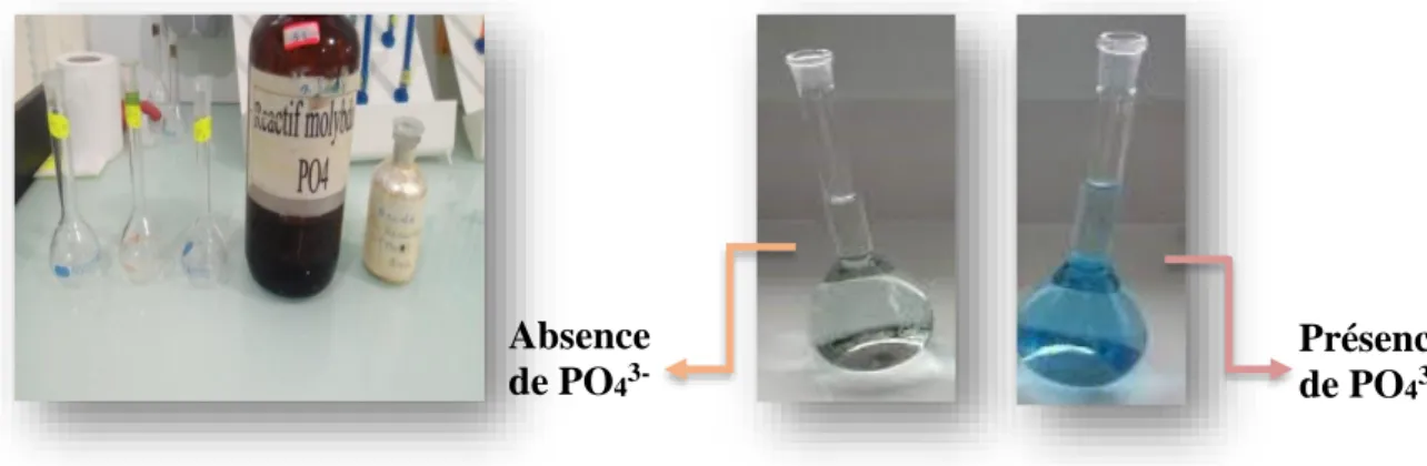 Figure 09 : Dosage de phosphate PO 4 3-   Absence 