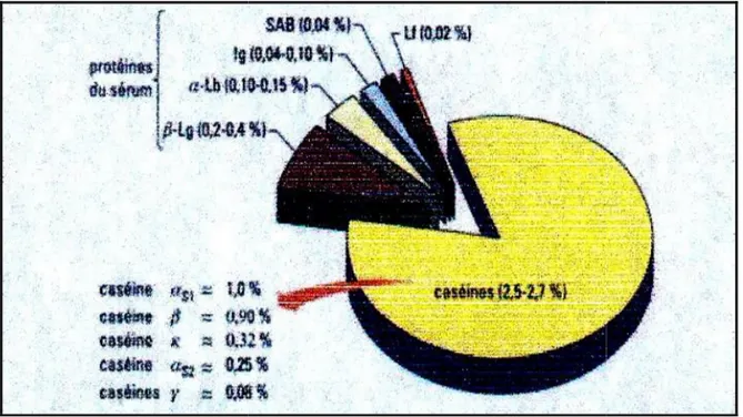 Figure 03: pourcentage de différentes protéines du lait 1998)