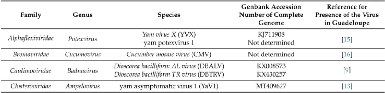 Table 1. List of yam-infecting viral species identified in Guadeloupe.