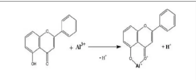 Figure 08: Réaction du chlorure d’Aluminium avec les flavonoïdes (Ribéreau-Gayon et Gautheret.,  1968)