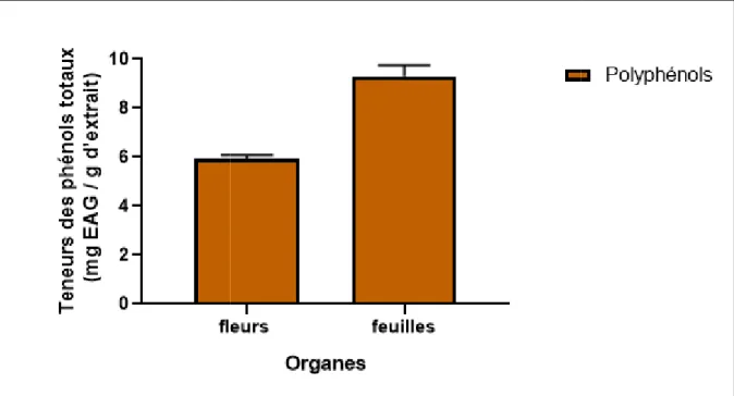 Figure 11 : Variations des teneurs en polyphénols totaux au niveau des extraits éthanoliques foliaires 