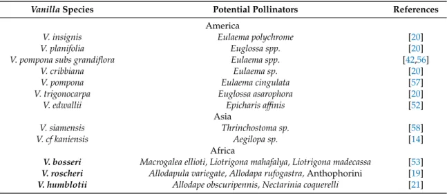 Table 2. Potential pollinators of some Vanilla species. Leafless species are highlighted in bold.
