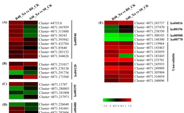 Figure 4. Hierarchical clustering of 35 differentially expressed proteins (DEPs) enriched in different  plant-defense related pathways of two sugarcane cultivars inoculated with Xanthomonas albilineans