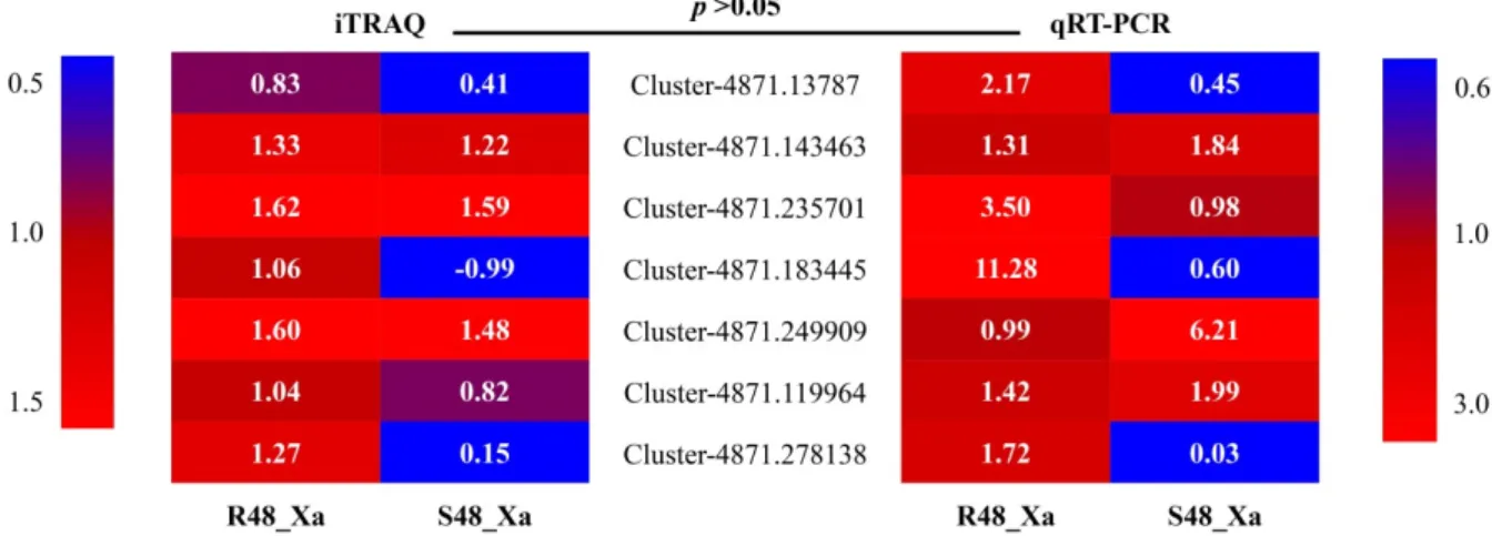 Figure 5. Relative expression levels (values in boxes) of seven sugarcane genes based on iTRAQ (log 2  Fold  Change) and qRT-PCR (2 –ΔΔCT ) data of two cultivars inoculated with Xanthomonas albilineans