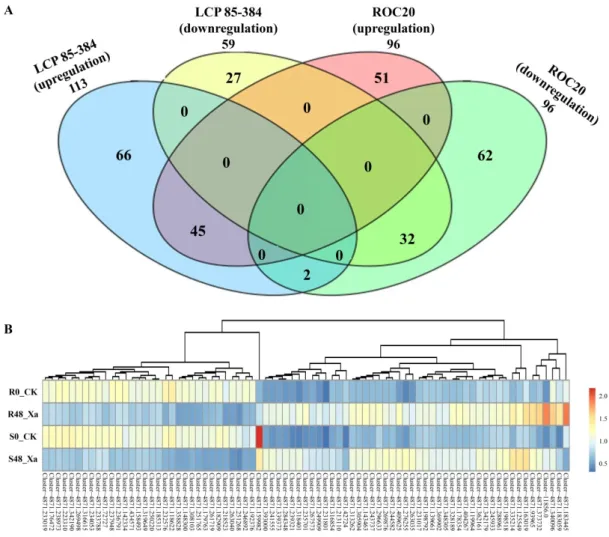 Figure 1. (A) Venn diagram of the 285 differentially expressed proteins (DEPs) and (B) heat map of  expression changes (average of three biological replicates) of 79 common DEGs identified in two sugarcane  cultivars inoculated with Xanthomonas albilineans