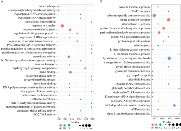 Figure 2. Gene ontology (GO) classification of significantly upregulated (A) and downregulated (B)  differentially expressed proteins (DEPs) in sugarcane cultivar LCP 85–384 inoculated with Xanthomonas  albilineans (R48_Xa vs