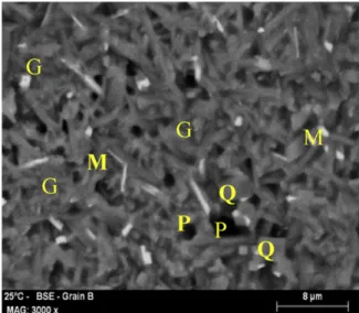 Fig. 5. SEM micrograph of a BSAA refractory brick (halloysite and KT kaolin brick) fired at 1350 8C (M: Mullite needles; Q: Quartz; G: Amorphous phase; P: