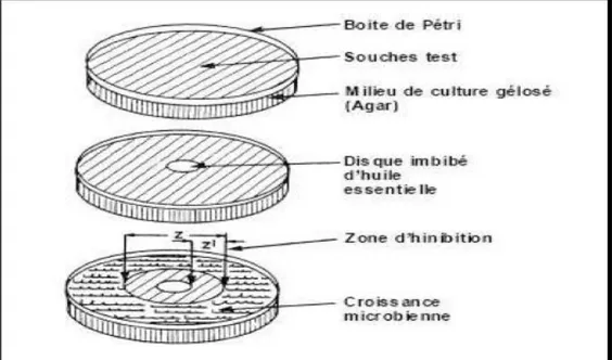 Figure .II. 8. Illustration de la méthode d'aromatogramme [3]. 