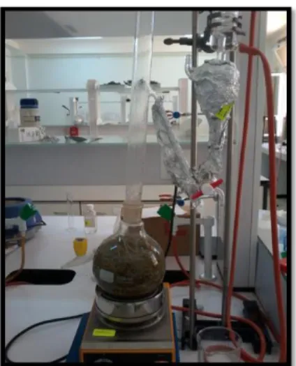 Figure III.4 : Montage d’Hydrodistillation (Clevenger). 