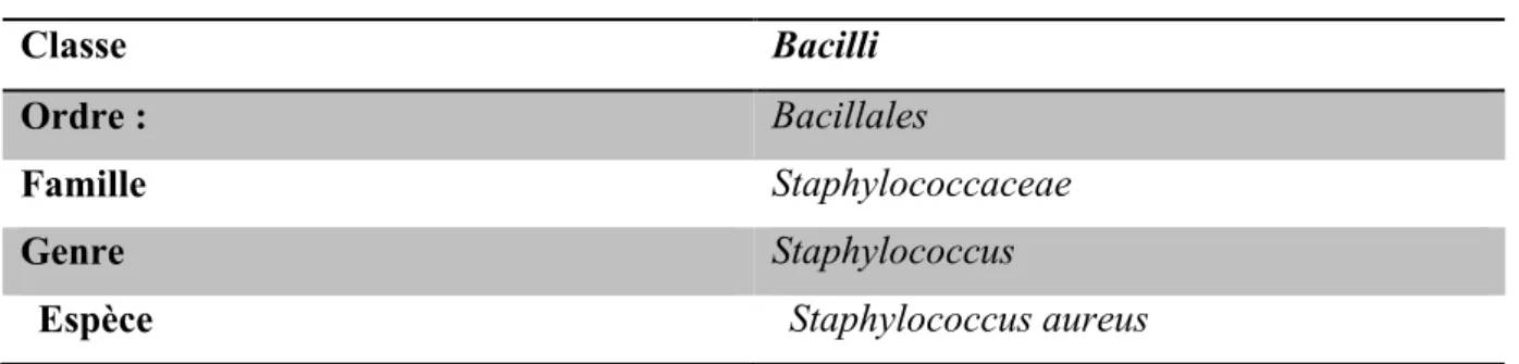 Tableau 7: Taxonomiede Staphylococcus aureus[53]