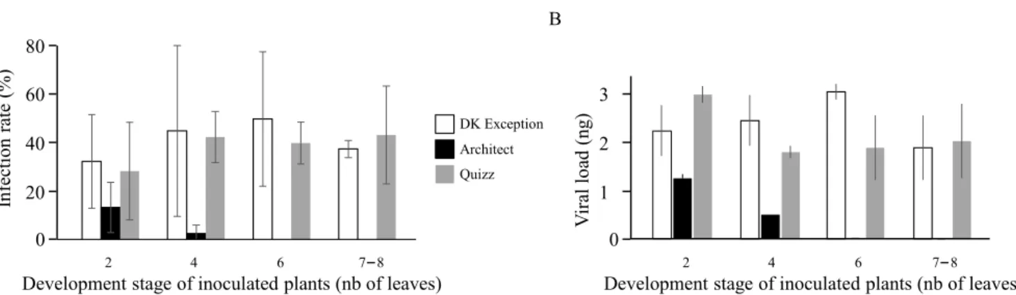 Figure 1. Infection rates of rapeseed genotypes (A) and virus load in infected plants (B) according to the development  stage of plants at inoculation