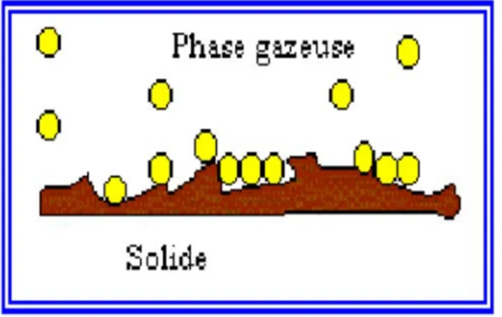 Figure II.1 : Schéma simplifié représentant le phénomène d’adsorption. 