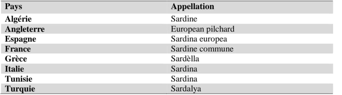 Tableau 02 : Les noms vernaculaires de Sardina pilchardus (Davidson, 2002) 