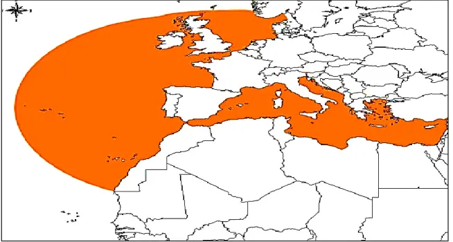 Figure 02 : L'aire de répartition de la Sardina Pilchardus (Whitehead, 1985)  I.1.4. Reproduction et croissance 