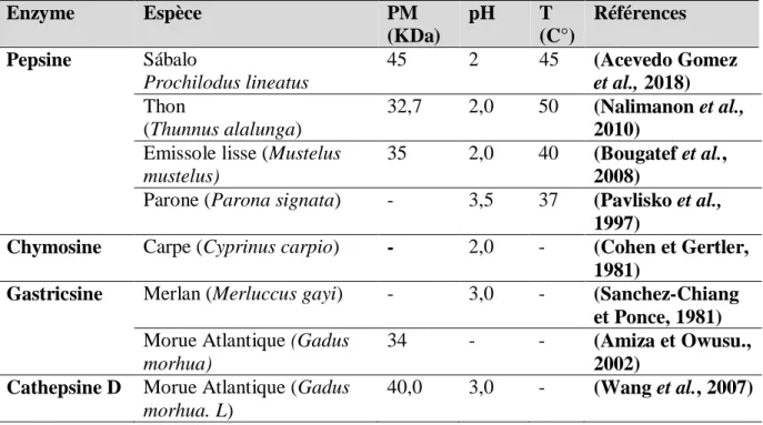 Tableau 05 : La température optimale, le pH optimal et la masse moléculaire de certaines  protéases gastriques du poisson 