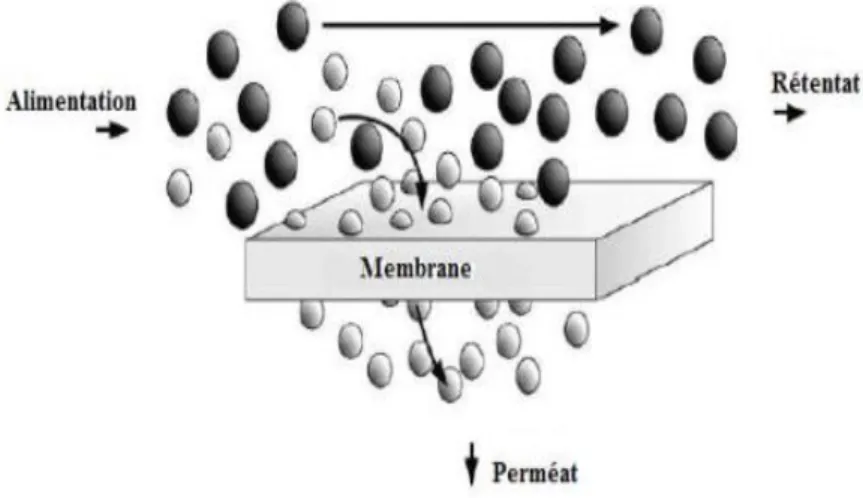 Figure II.2 :  Schéma simplifié d’une opération de séparation membranaire  [13]. 