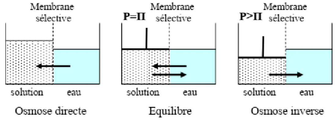 Figure II.3 :  Principe des phénomènes d’osmose et d’osmose  inverse [14].