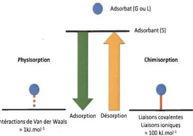 Figure II.9 : Phénomène d'adsorption. 