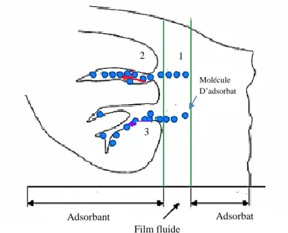 Figure II.3 Schéma du mécanisme de transport d’un adsorbat au sein d’un grain (adsorbant)                                            1 - diffusion externe ; 2 - diffusion interne (dans les pores) et 3 - adsorption [16]