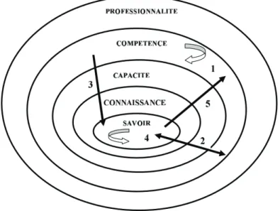 Figure n°6 : Les cinq voies du développement de la compétence selon R. Wittorski 