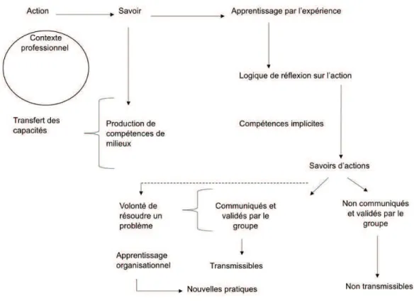 Figure n°7 : La distribution des compétences selon Wittorski, Source : l’Auteur 