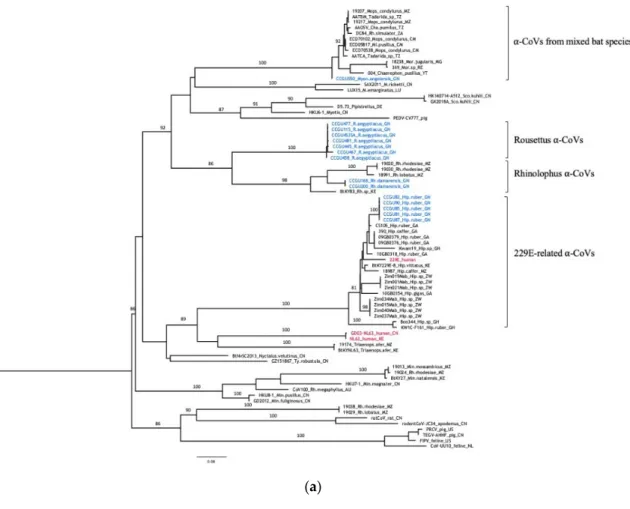 Figure 2. Cont.