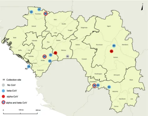 Table 1. Number of bat samples collected at each study site in the different prefectures in Guinea