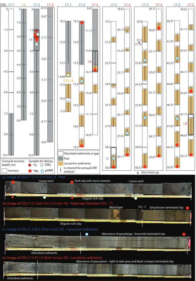 Fig. 2. Sediments recovery within the five cores used for COL17c composite record (above)