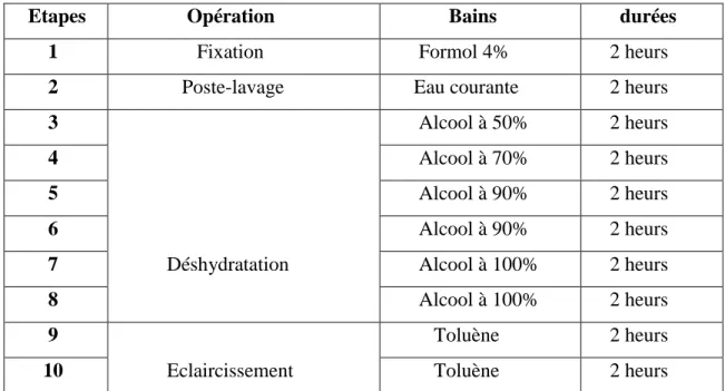 Figure  17 :  préparation  les  cassettes  dans  le  panier  (A),  Automate  de  déshydratation  (leica) (B) (photographie originale)