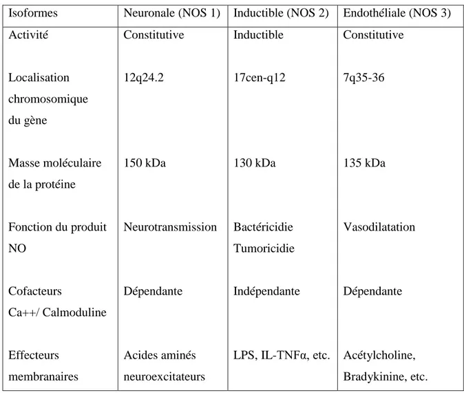 Tableau 01 : Les trois principales isoformes des N O synthases (Dinh-xuan et al., 1998)