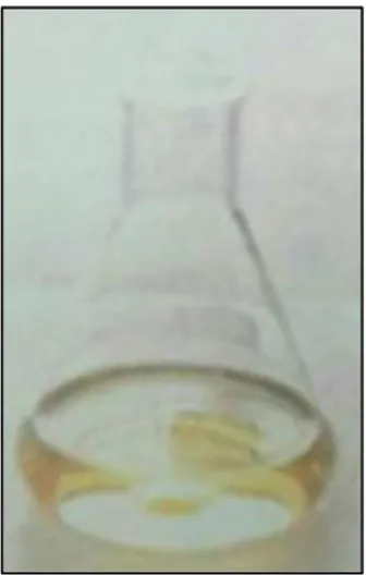 Figure 18 : Solution de peroxynitrite de couleur jaune produite par la méthode de 