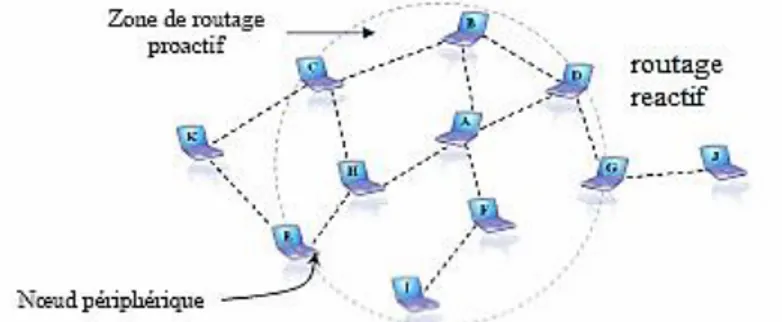 Figure I.11: Les zones de routage ZRP. 