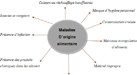 Figure II: Schéma récapitulatif des facteurs favorisant les maladies d'origine  alimentaire (Hamza, 1998)