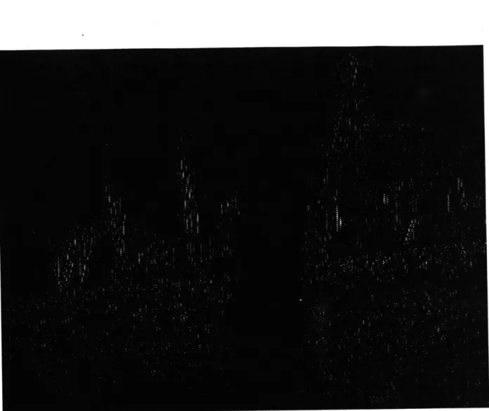 Figure  2.20:  The  picture  shows  the  error  pixels  of  the  reconstructed  image  of  LH subband  of  the first  level  pyramid  of the  image  2.15