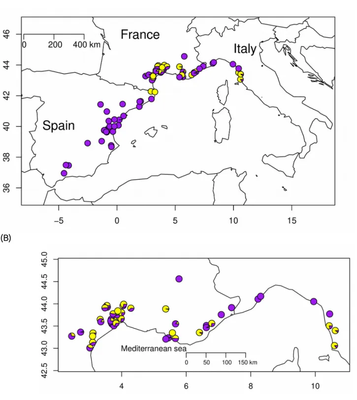 Figure 2: Distribution of the sampled populations. The three maps differ in the scale and (A) represents the entire dataset (n=80 populations), (B) dataset excluding populations from   Spain   (n=50),   and   (C)   populations   sampled   around   Montpell