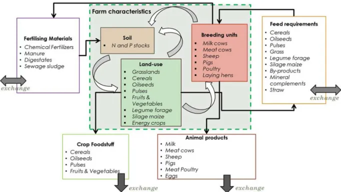 Fig. 3. Farm agent entities in the model and their possible interactions and material exchanges with the local and global markets