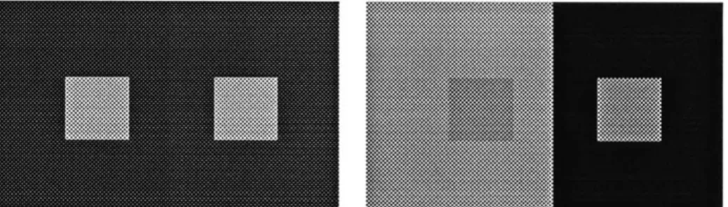 Figure 7. Constancy  of color appearance is also helped  by a lower contrast in the background.