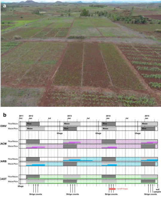 Fig. 1 Aerial photo of the experiment in Ivory, Madagascar.