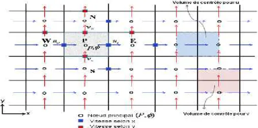 Figure III.3:Volumes de contrôle pour les scalaires et les vitesses.