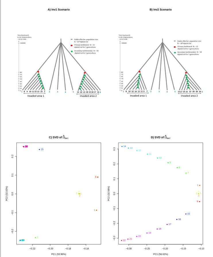 FIG. 2. Description of the invasion scenarios Inv1 (A) and Inv2 (B) with values of the historical and demographical parameters used to simulated evolutionary neutral SNP data sets