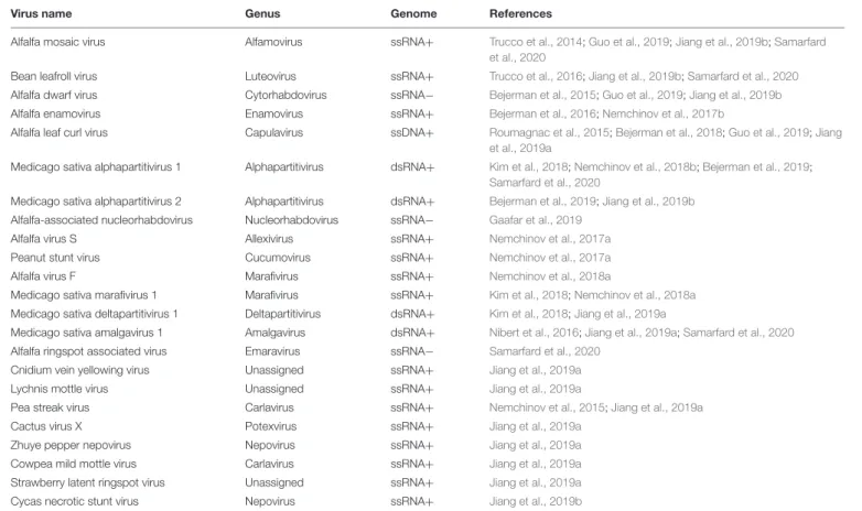 TABLE 1 | Viruses identified in alfalfa by HTS and by analysis of publicly available transcriptome datasets.