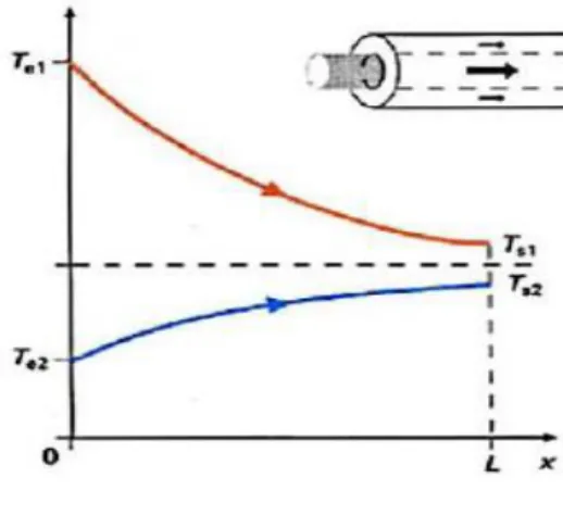 Figure II.2 : Evolution qualitative des températures dans un échangeur tubulaire Co- courant 