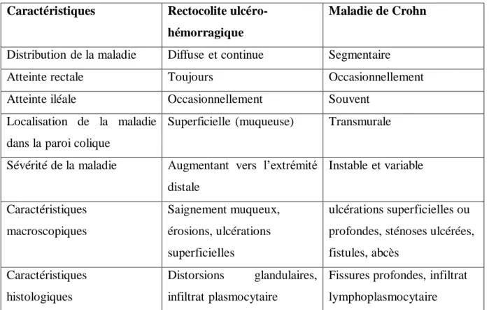 Tableau  IV:  Les  principales  différences  entre  la  RCH  et  le  MC  (Yantiss  et  odze,  2006 ;  Dray et Marteau, 2007)