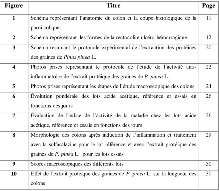 Figure  Titre  Page 