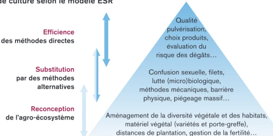 Illustration des différents niveaux de modification  du système de culture selon le modèle ESR