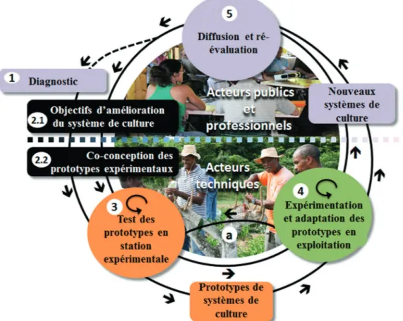 Figure 1 — La méthode  DISCS (re-Design and assessment Innovative Sustainable Cropping System) et ses cinq différentes étapes