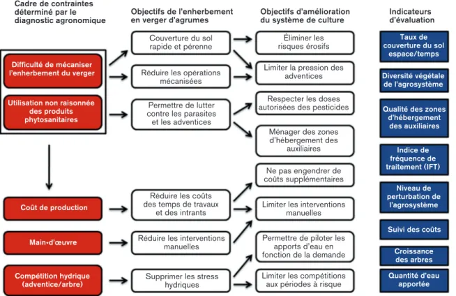 Figure 2 — Cadre de contraintes du système de culture agrumicole guadeloupéen (objectifs d’amélioration et indicateurs d’évaluation de ces objectifs)